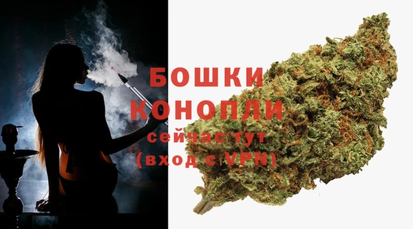 индика Новокубанск